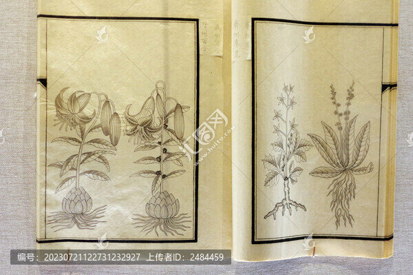 明代本草品匯精要