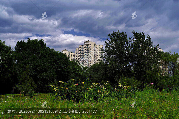 望湖公園