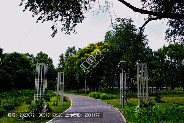 望湖公園