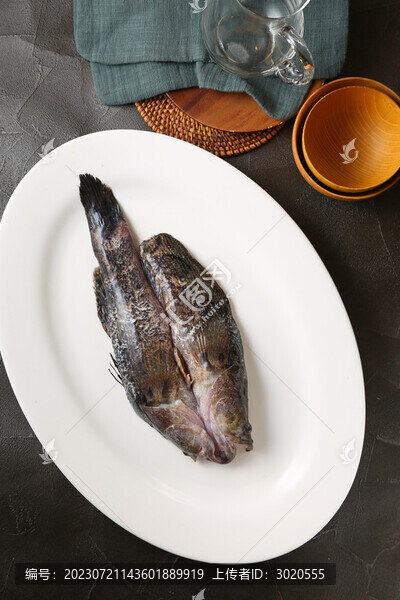 筍殼魚