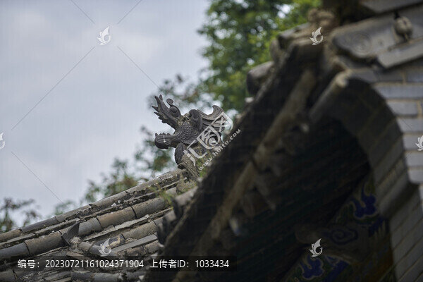 脊獸