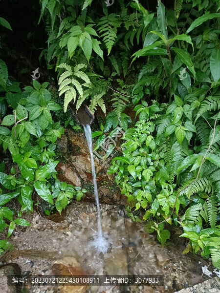 山泉水