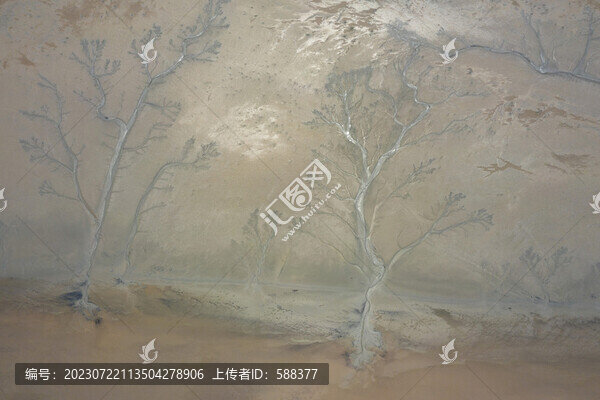 杭州錢塘江潮汐樹(shù)沙灘濕地