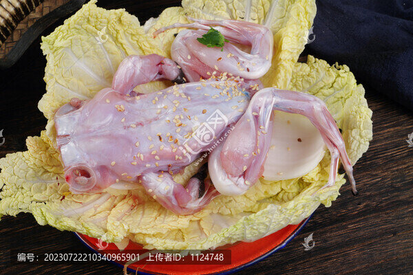 鮮牛蛙