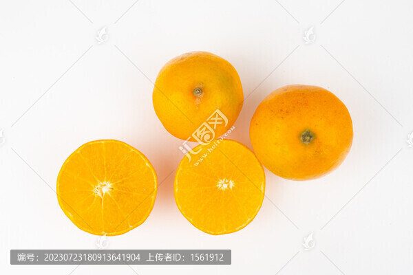 皇帝柑