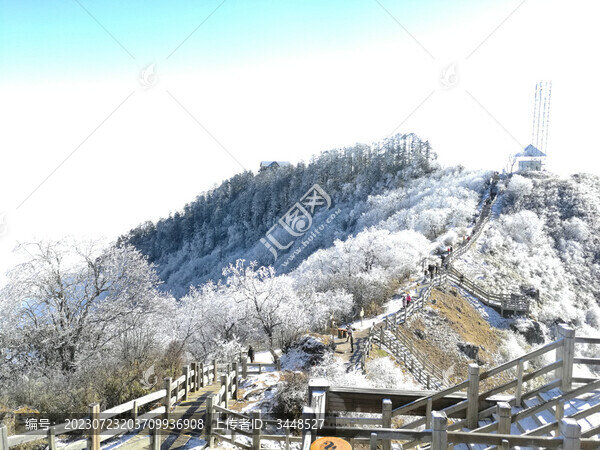 雪山云海