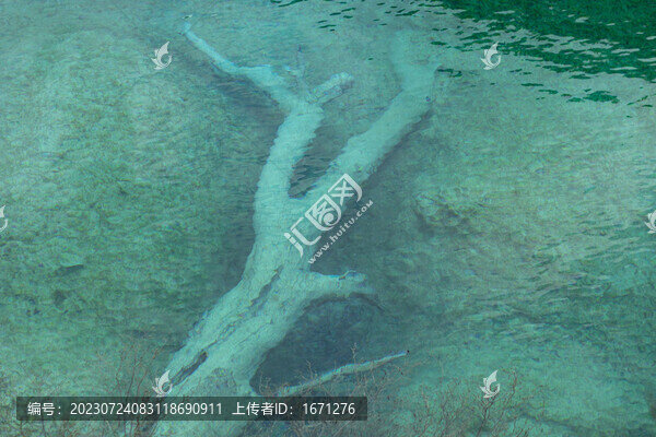 清澈見底
