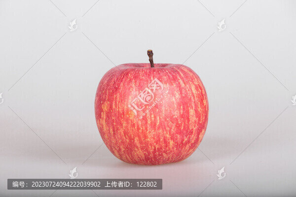 洛川紅富士