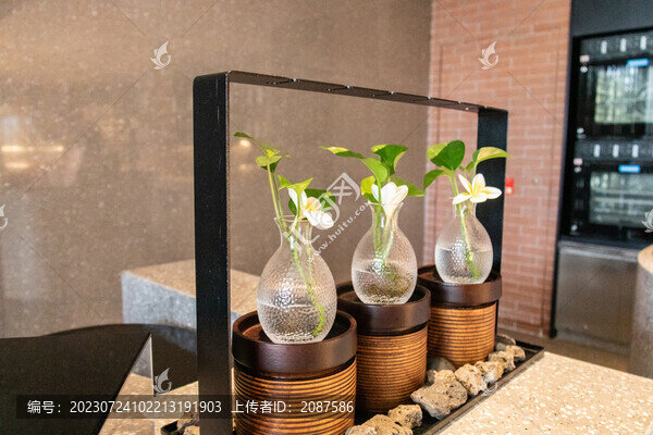 五星級酒店自助餐廳綠植陳設(shè)