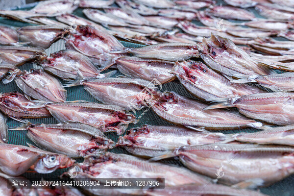 白魚干