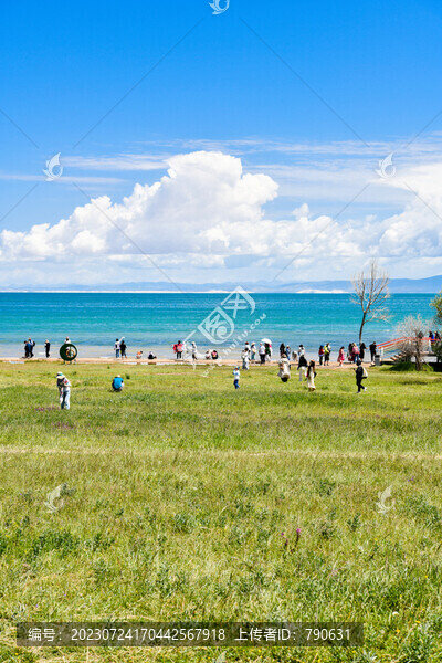 青海湖風(fēng)光