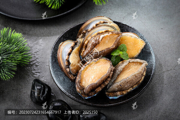 鮮活鮑魚新鮮鮑魚海鮮