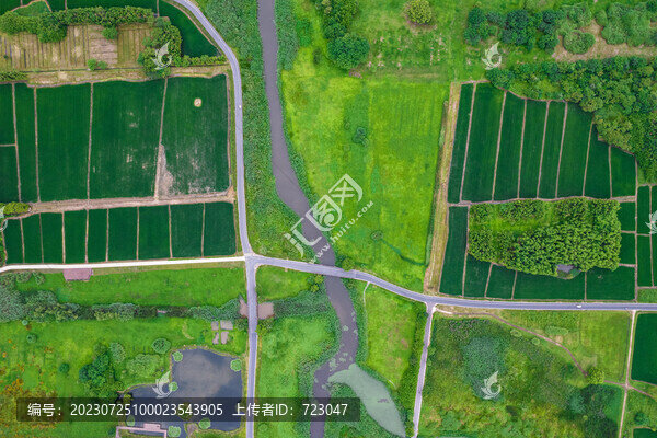 良渚古城遺址公園
