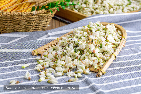 新鮮槐花