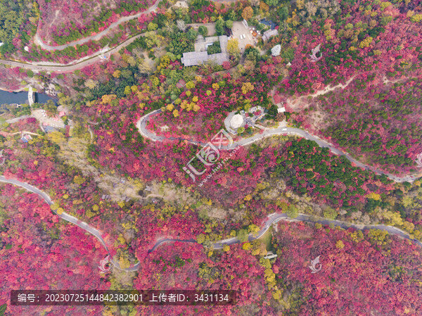 山東濟(jì)南紅葉谷秋天航拍