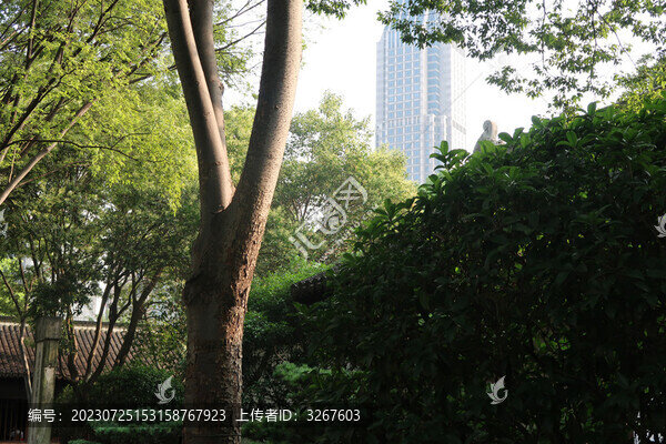 南京總統(tǒng)府