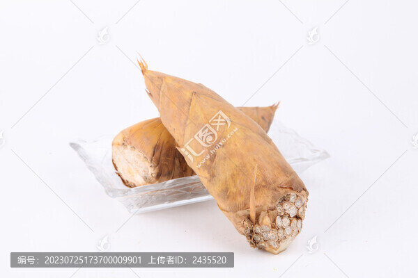 鮮竹筍白底圖