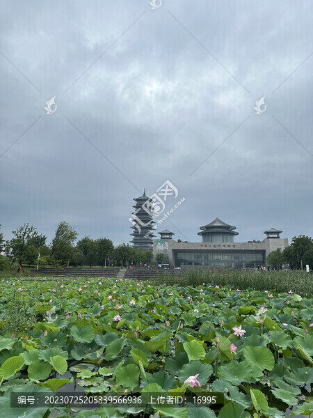 中國大運河博物館