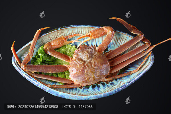 松葉蟹