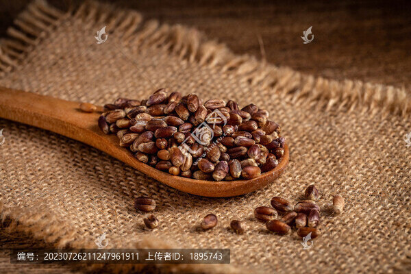 黑麥?zhǔn)巢? title=