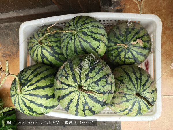 牛奶西瓜