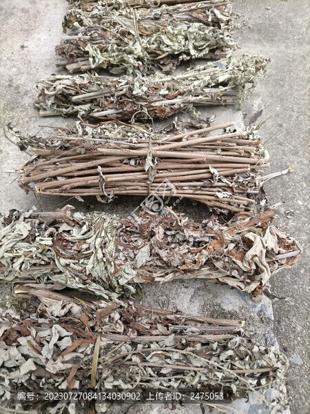 陳艾葉