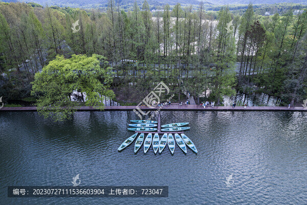杭州西湖楊公堤