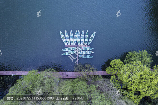 杭州西湖楊公堤