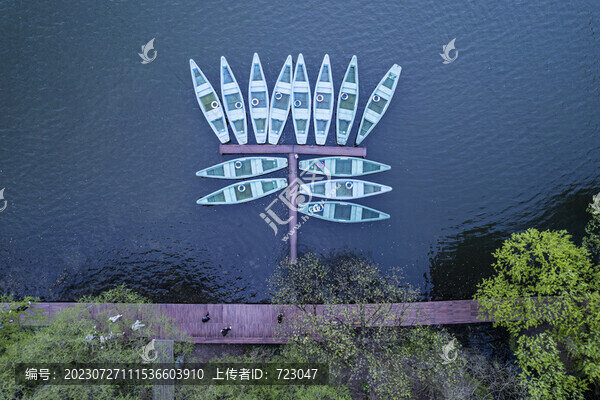 杭州西湖楊公堤
