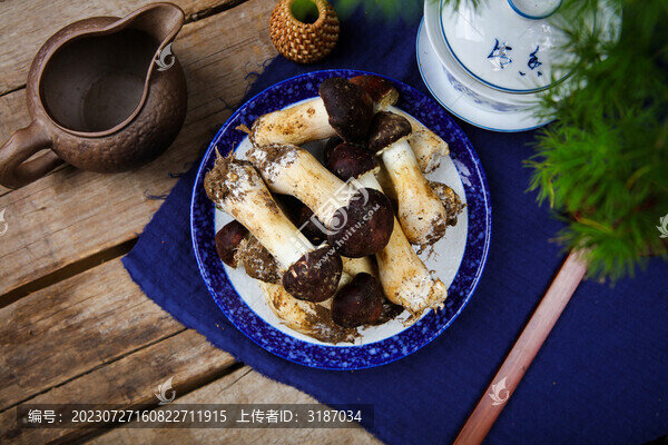 新鮮姬松茸
