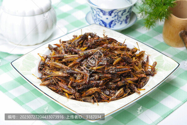 酥脆的油炸螞蚱