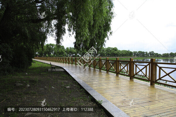 水上公園旅游景點山青綠成蔭