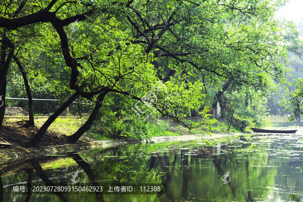 水上公園旅游景點(diǎn)山青綠成蔭