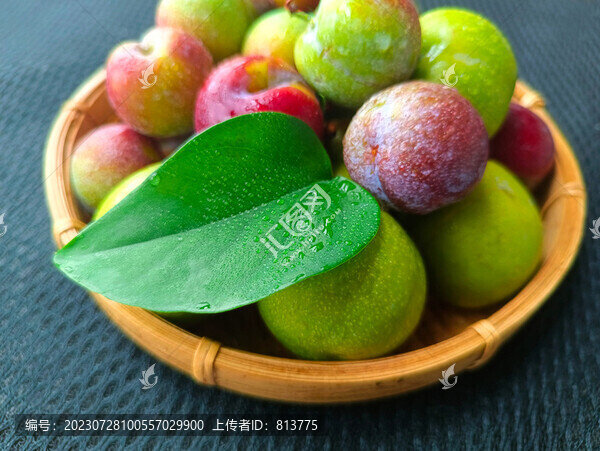 采摘青紅脆李