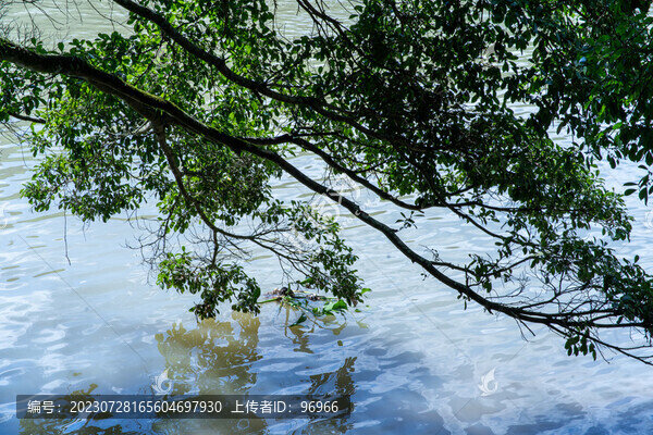 南靖土樓云水謠景區(qū)