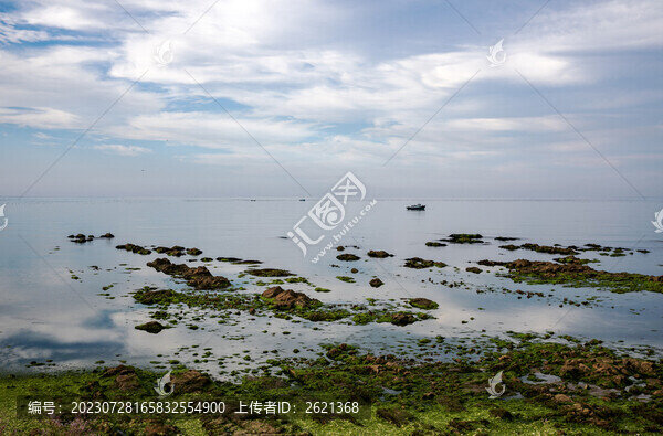 海天同色