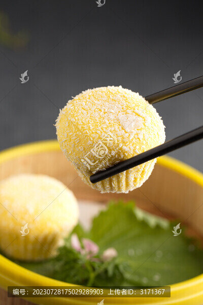 雪域流沙包