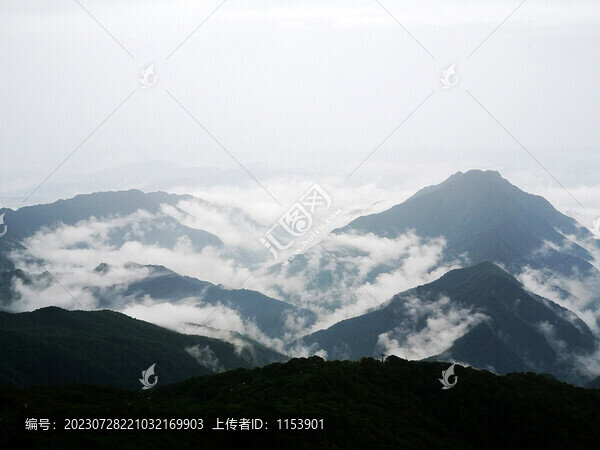 山中晨霧