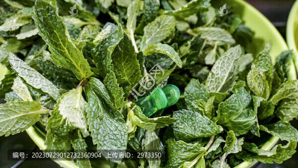 薄荷