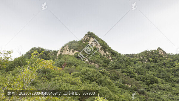 北京昌平獼猴桃谷