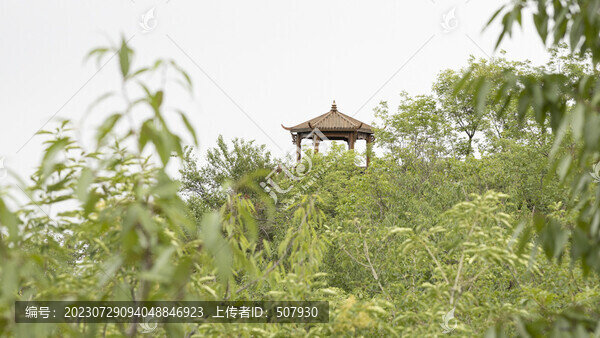 北京昌平獼猴桃谷