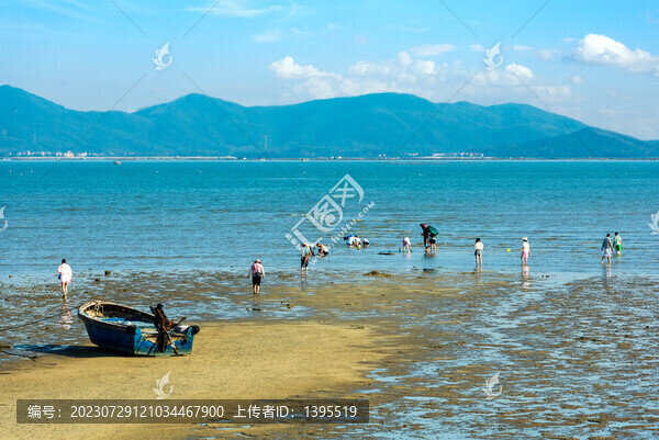 海陵島趕海