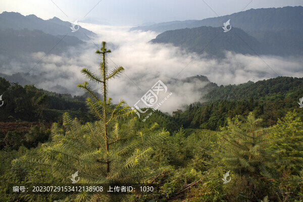 自然風光云海山脈