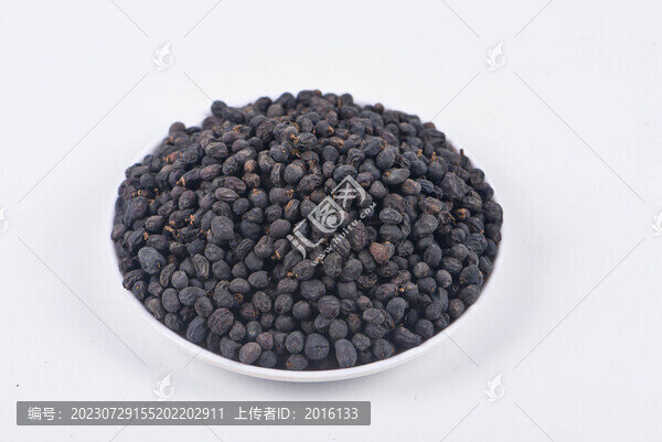 女貞子
