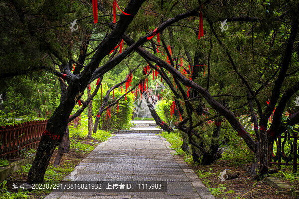 祈福樹(shù)