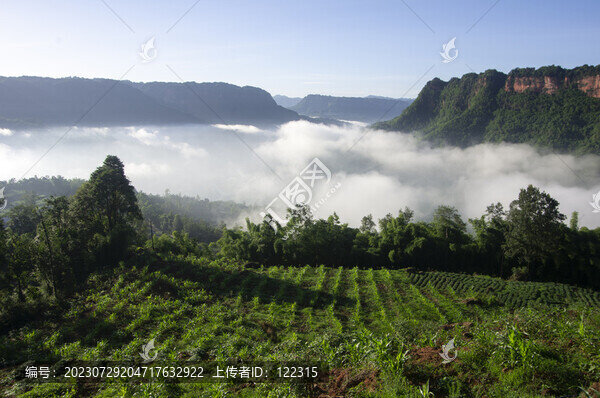 云霧山村