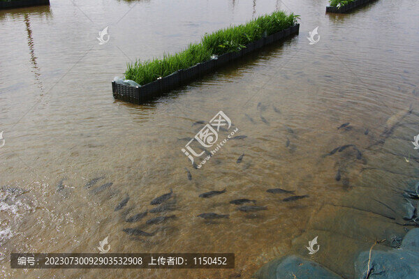 魚樂圖