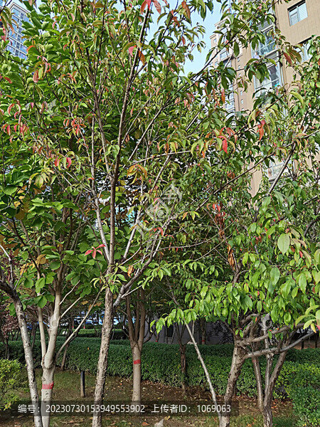 公園一角