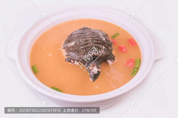 甲魚湯