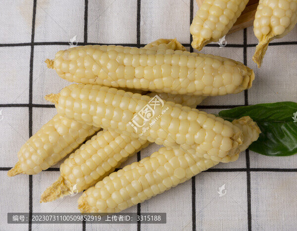 拇指玉米